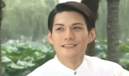 严屹宽电视剧大全,严屹宽影视生涯精彩瞬间回顾