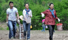 有关村官的电视剧,乡村振兴路上的奋斗传奇